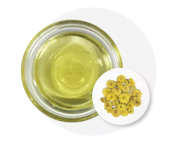 Chrysanthemum tea